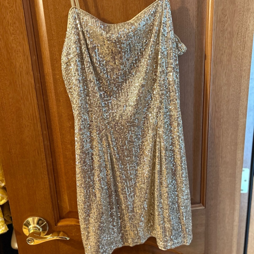 H&M Gold Sequin  Dress